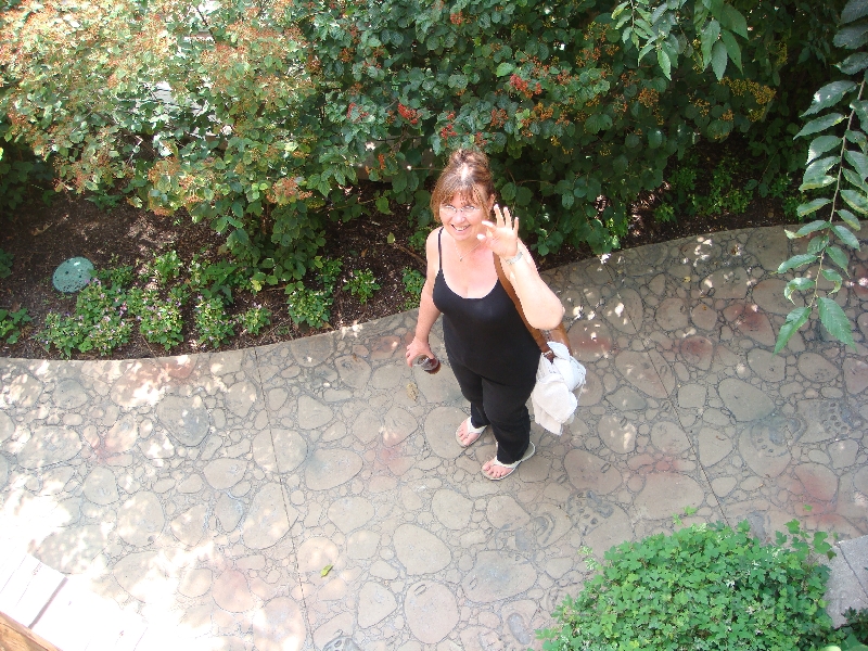 Western Michigan [2009] 436.JPG - Scenes from Frederik Meijer Gardens & Sculpture Park.